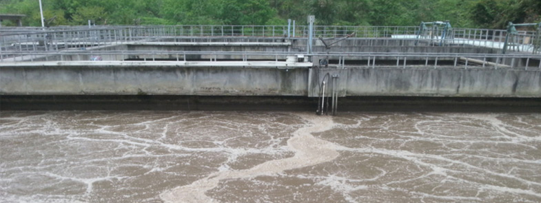 養殖汙水超污91视频