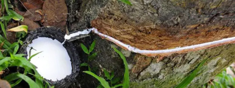 天然乳膠超污91视频