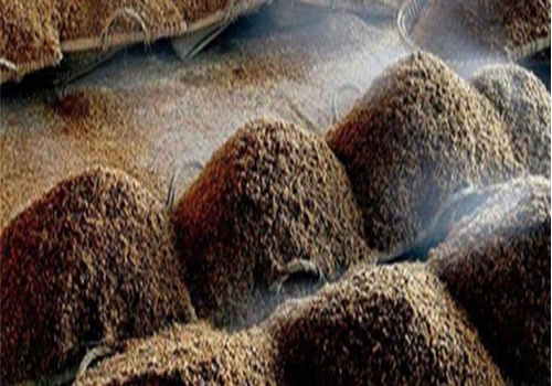 發酵超污91视频