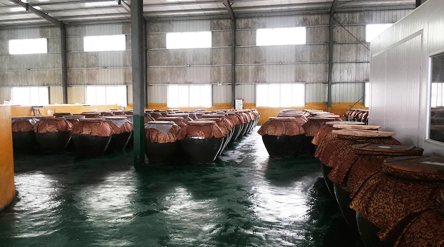 發酵超污91视频