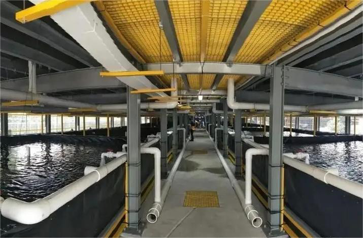 循環水超污91视频