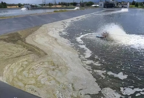 水池超污91视频